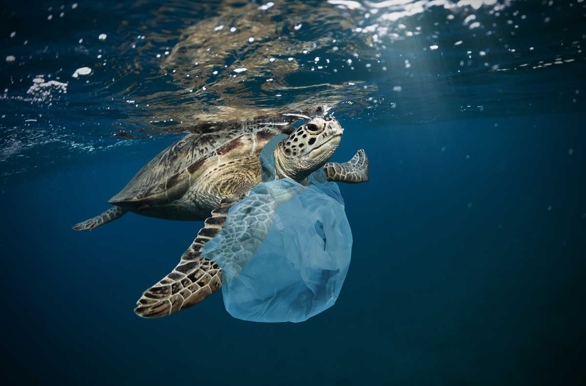 Per un mare senza plastica, Arpat capofila di un progetto europeo