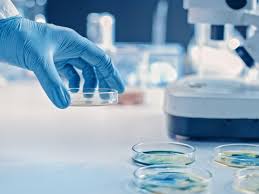 Malattie infettive, nasce la “Filmi” che sostiene cure e ricerca