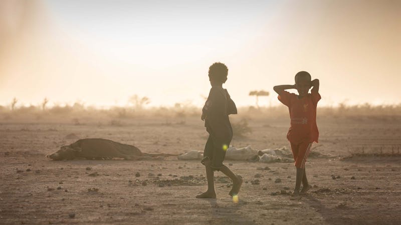 L’emergenza climatica e le conseguenze dei cambiamenti dal punto di vista dell’Unicef