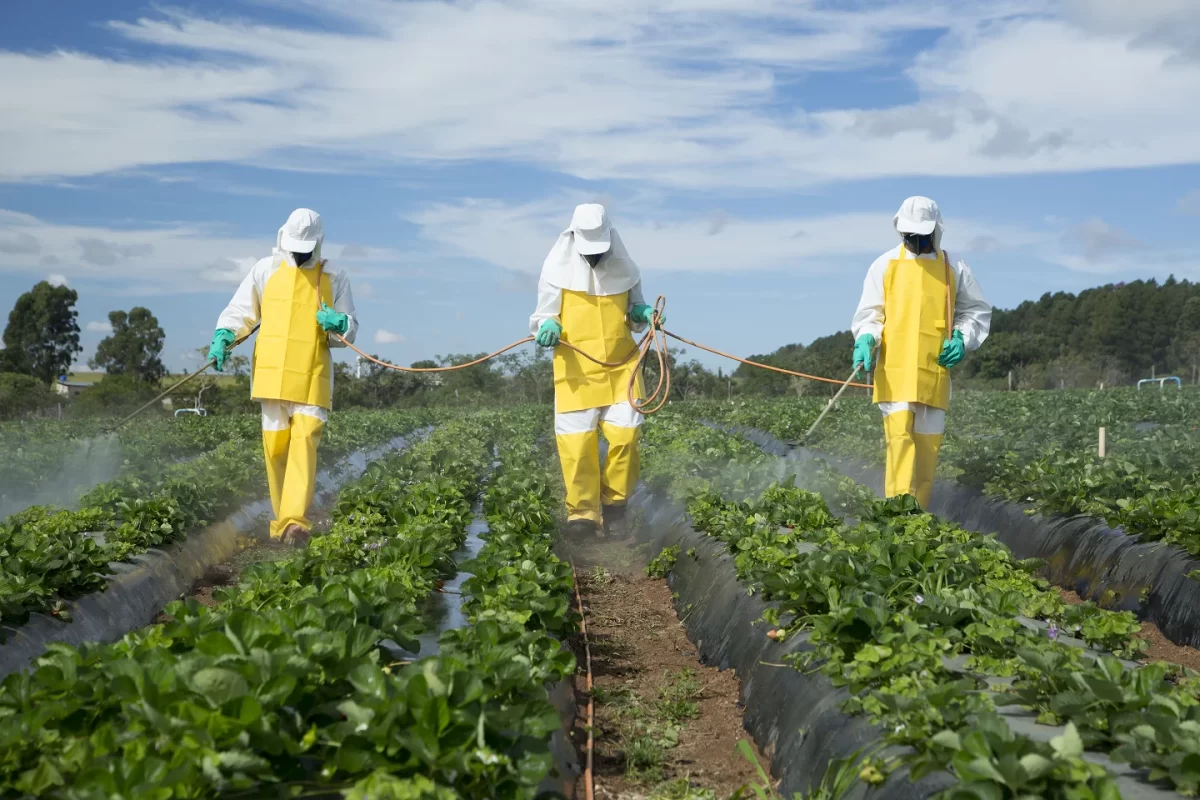 Troppi pesticidi in agricoltura, per il Wwf esistono ormai valide alternative