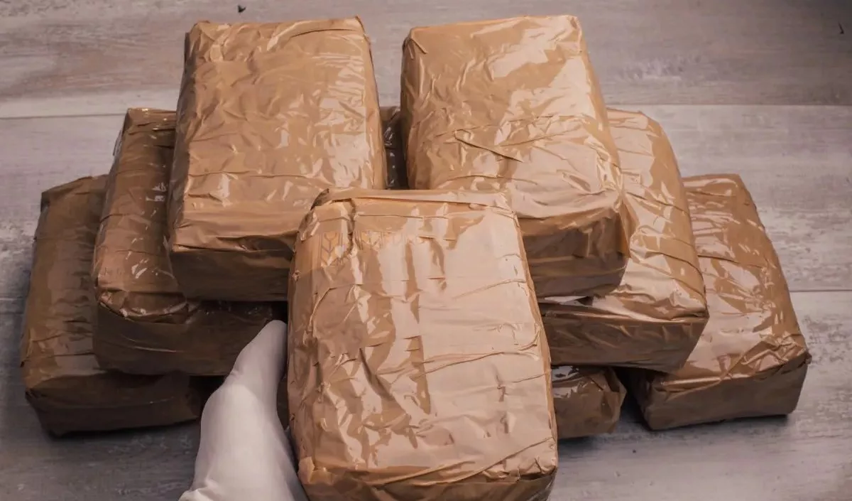 Arrestato grazie alle intercettazioni e trovato con 10 kg di cocaina: è stato condannato a 5 anni di reclusione