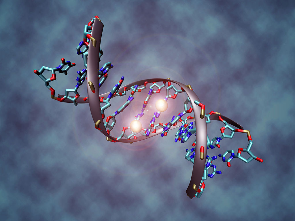 Sempre più vicini a capire “l’origine della vita” sulla Terra, la recente scoperta sul ruolo dell’Rna