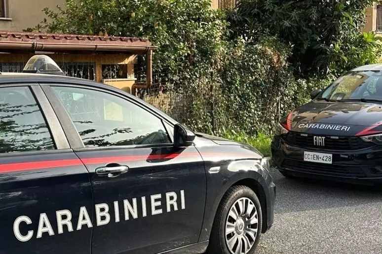 Tragedia nel Salento, a 21 anni uccide la madre a colpi di accetta e scappa, arrestato mentre vagava in paese