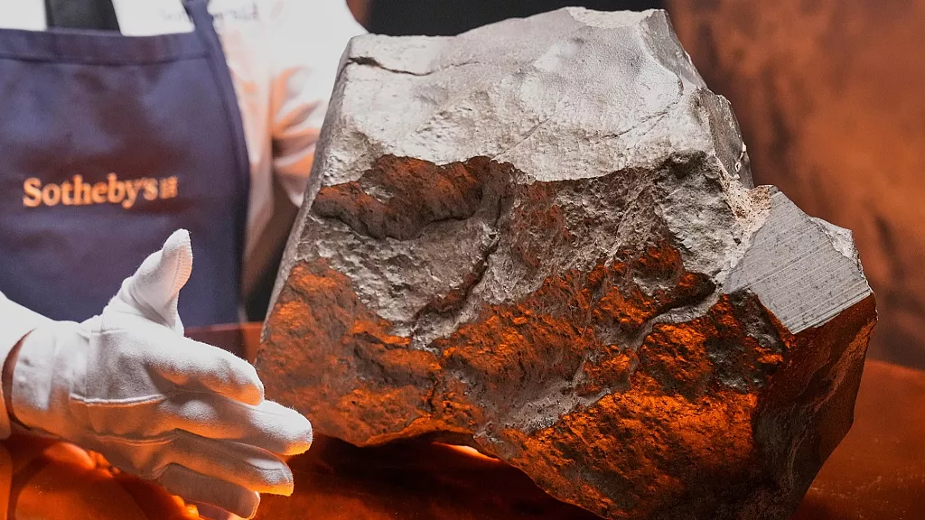 Il più grande meteorite marziano sulla Terra venduto all’asta per 4 milioni e mezzo di euro