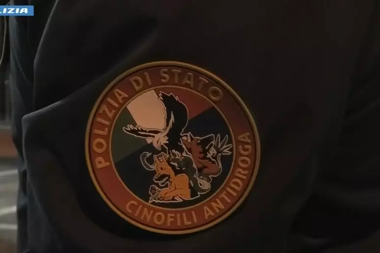 Blitz nelle Marche, la ‘ndrangheta gestiva il traffico di droga, la squadra mobile esegue 14 misure cautelari