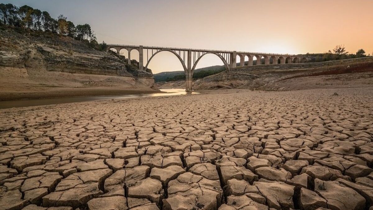 Siccità nel mondo, ecco perché aggrava la fame, la povertà e il collasso dell’ecosistema: il report e i tutti i dati ufficiali