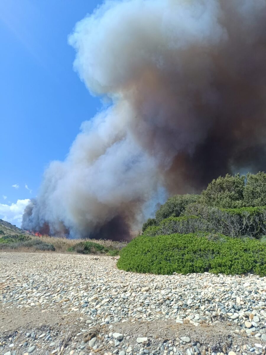 Il racconto di una sopravvissuta al devastante incendio in Sardegna a Villasimius