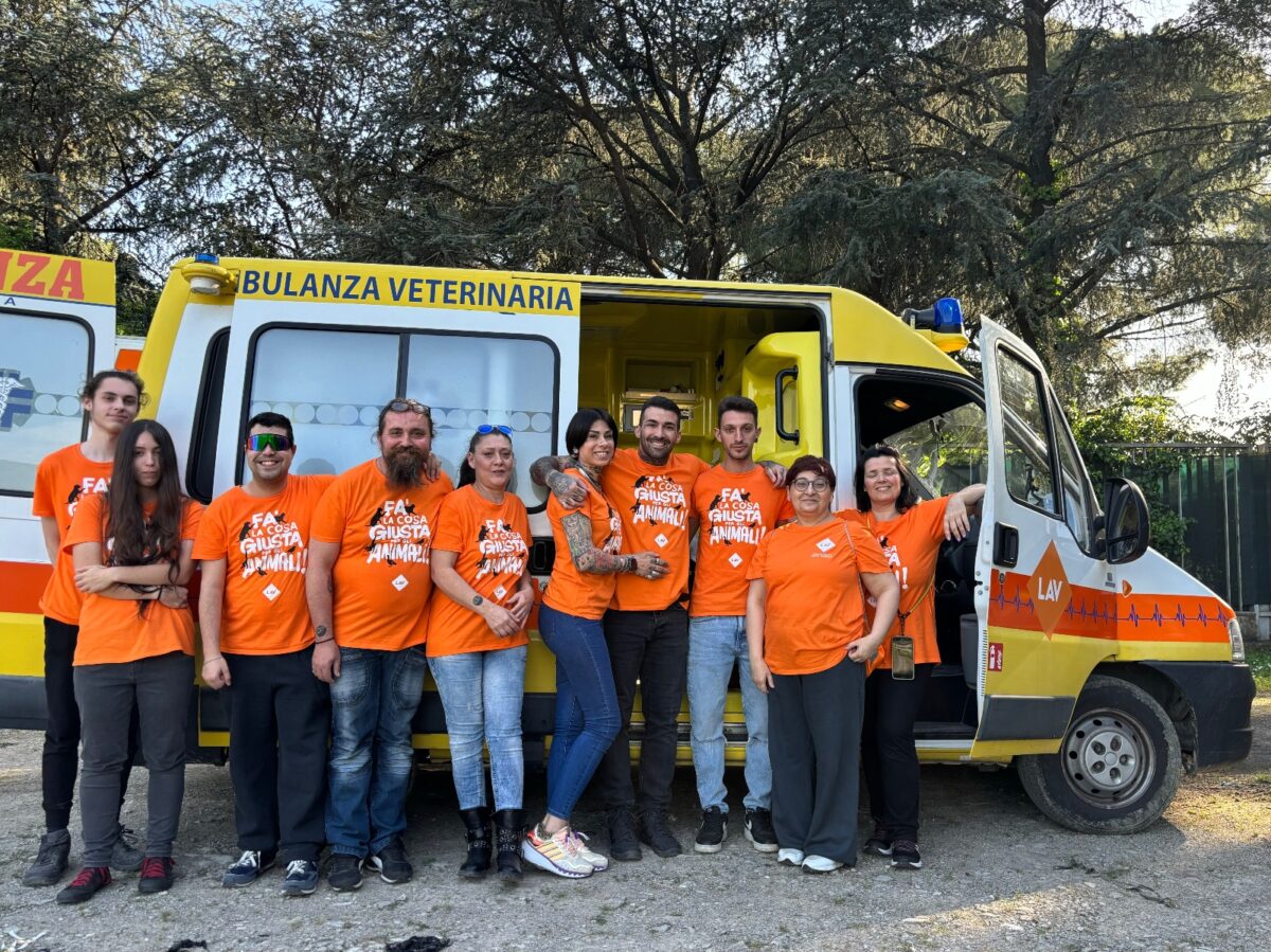 Nasce “Casa Lav” uno spazio aperto a chi vuole impegnarsi per la protezione degli animali