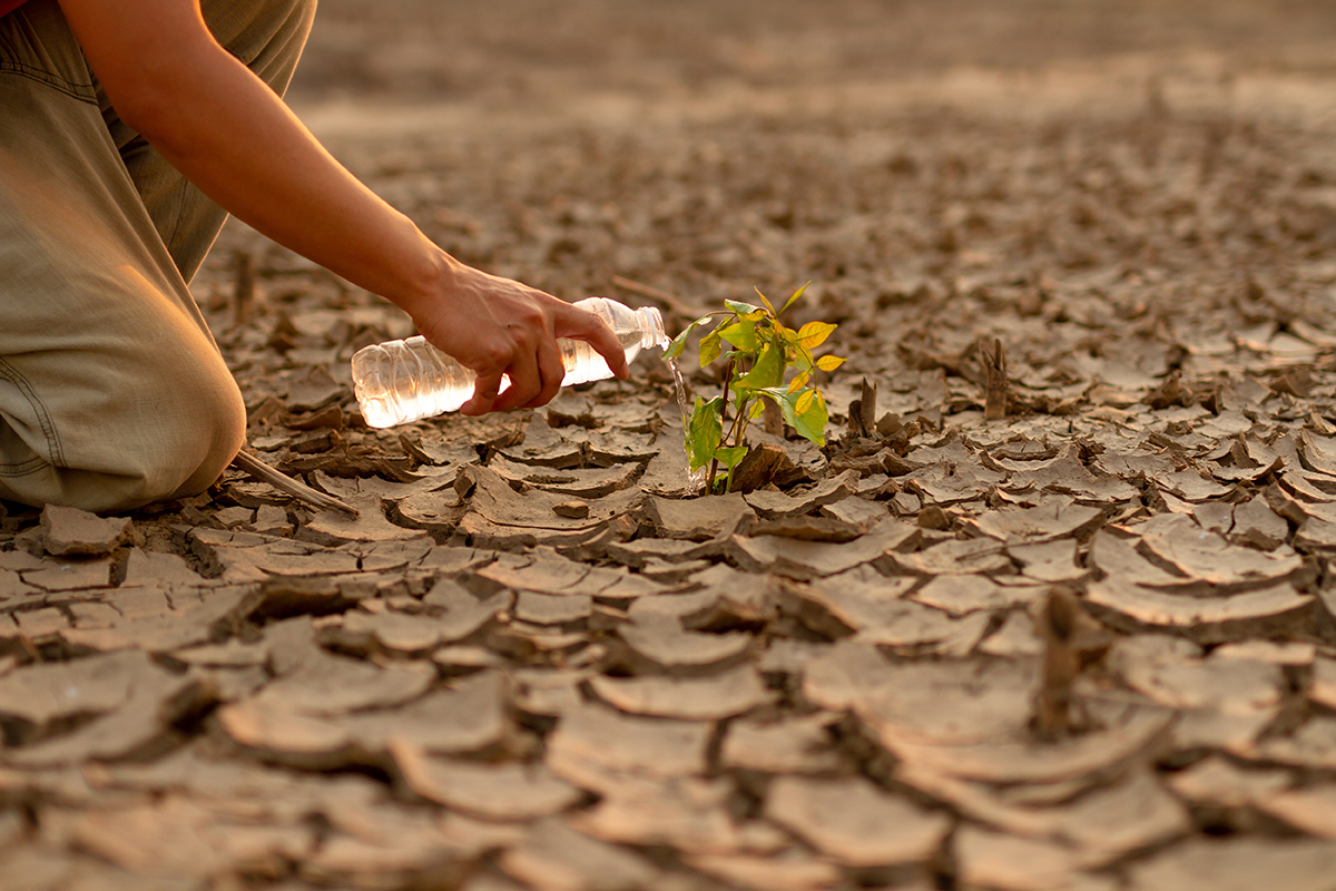 Emergenza clima, è in corso la  tropicalizzazione del Mediterraneo: l’allarme degli esperti