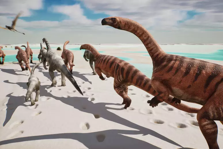 Parco dello Stelvio, fotografate orme di dinosauri risalenti a 210 milioni di anni fa