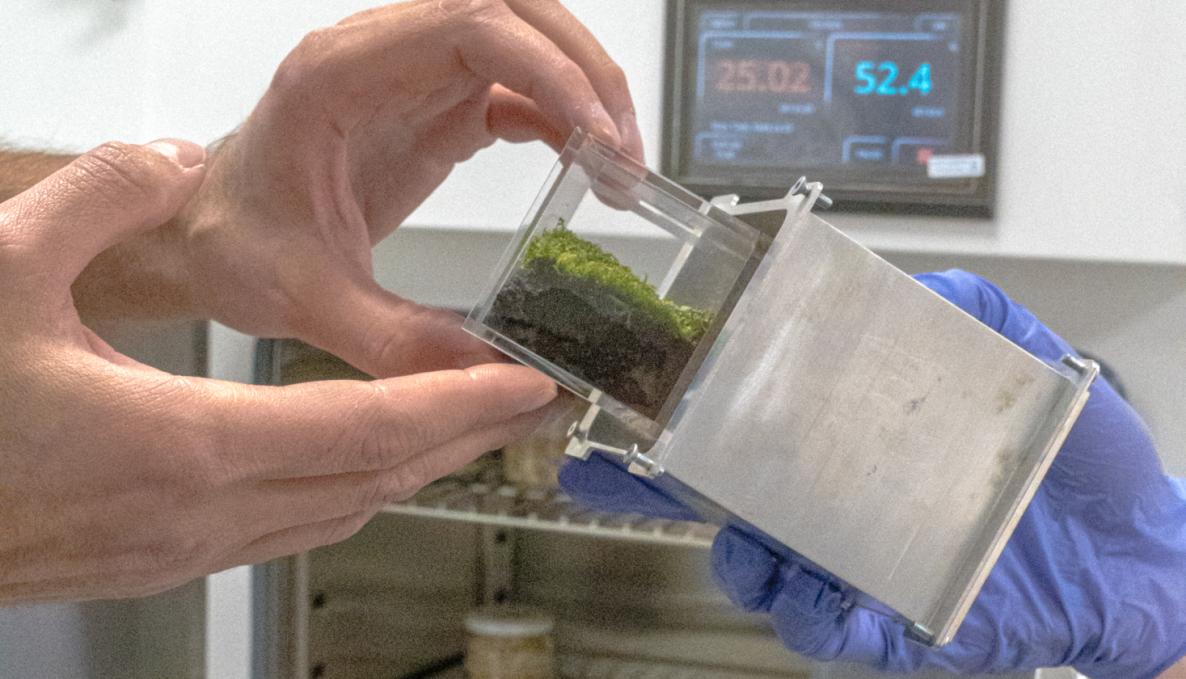 Missioni spaziali, da Pisa sono in arrivo i mini ecosistemi per produrre cibo e acqua in orbita