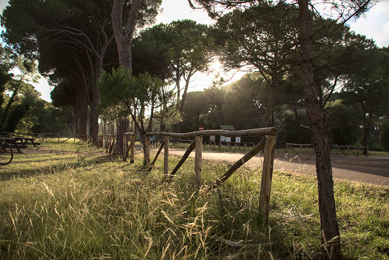 Pisa, denunciato titolare di impresa edile per abbandono di rifiuti pericolosi nel parco di San Rossore