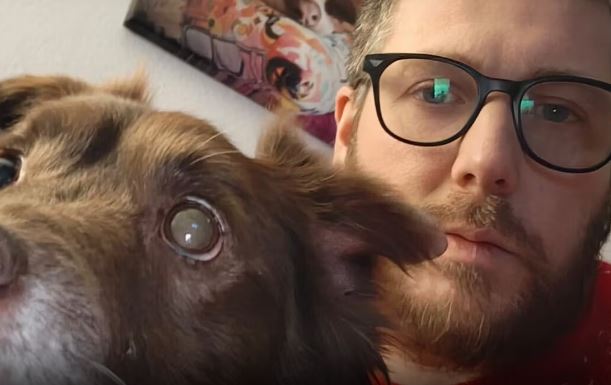 Arezzo, gli fa cenno di rallentare e lui gli investe il cane: “Choco è morto tra le mie braccia”