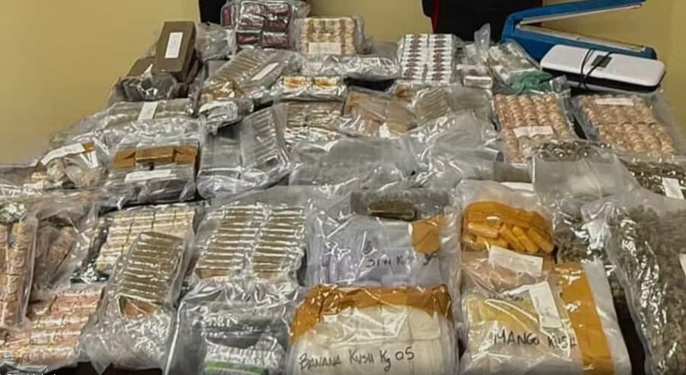 La famiglia con 600 chili di hashish nel frigo: arrestati mamma e figli