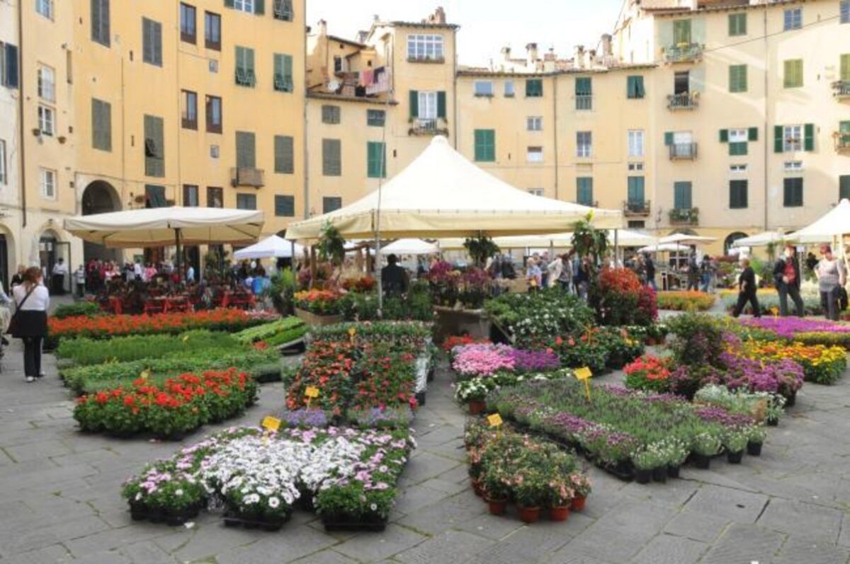 A Lucca fino al 27aprile la Festa dei fiori e dei dolci in omaggio a Santa Zita