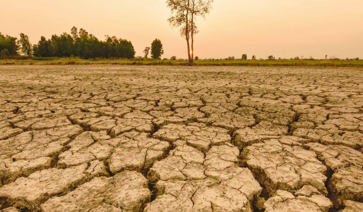 L’Onu avverte sull’arrivo di un “super El Niño”: potrebbe essere uno dei più intensi mai registrati