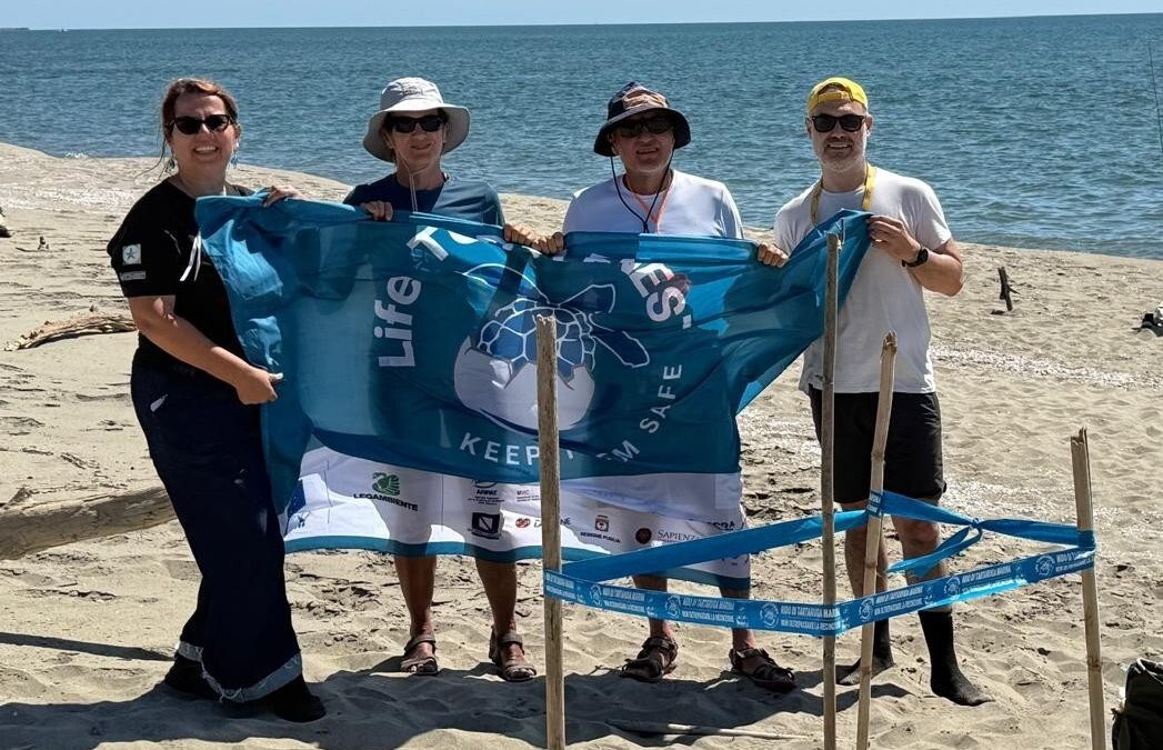 Parco del Migliarino, primo nido di “Caretta caretta” documentato nella tenuta di San Rossore a Pisa