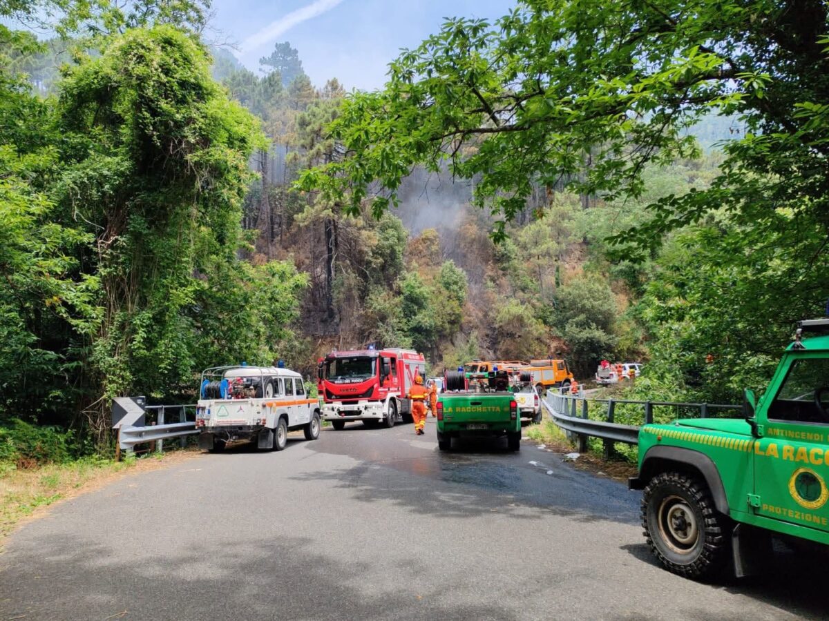 Incendio sul Monte Serra, in azione vigili del fuoco ed elicotteri: chiusa la strada provinciale