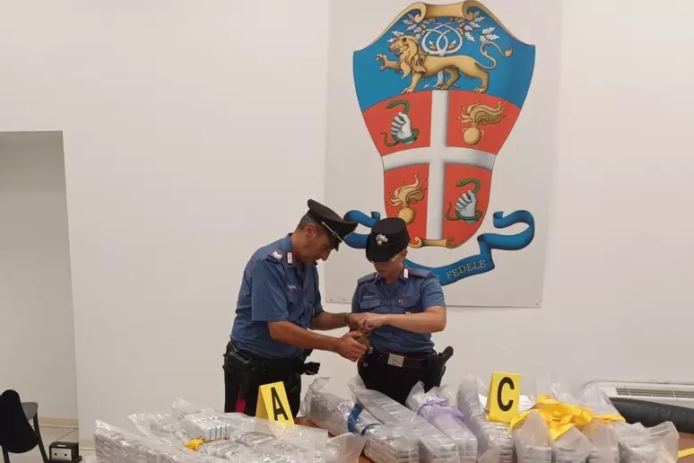 In auto aveva 140 chili di hashish, donna di 33 anni arrestata a Carrara