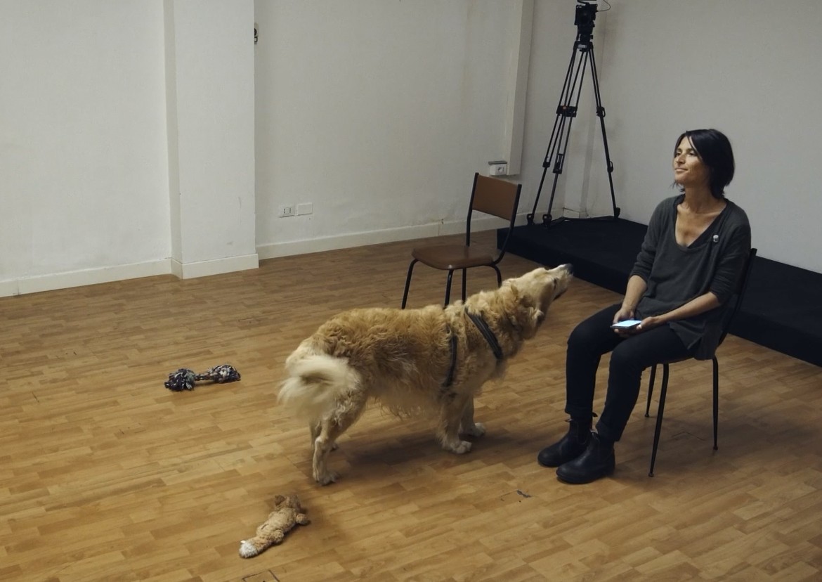 Cani e padroni, l’affetto scaccia lo stress:  lo studio dell’Università di Pisa cambia il rapporto con gli animali