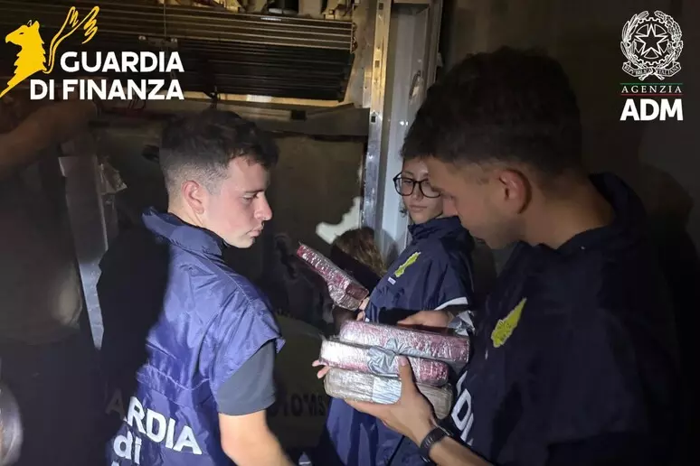 Cocaina nel carico di banane, 65 chili sequestrati in porto a Livorno dalla Gdf