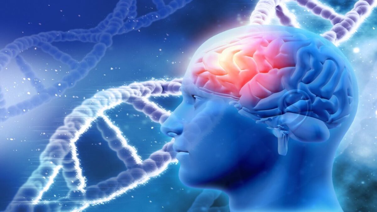 Quanto consuma il cervello quando pensa? Lo studio di Aoup e Unipi nella camera metabolica di Cisanello