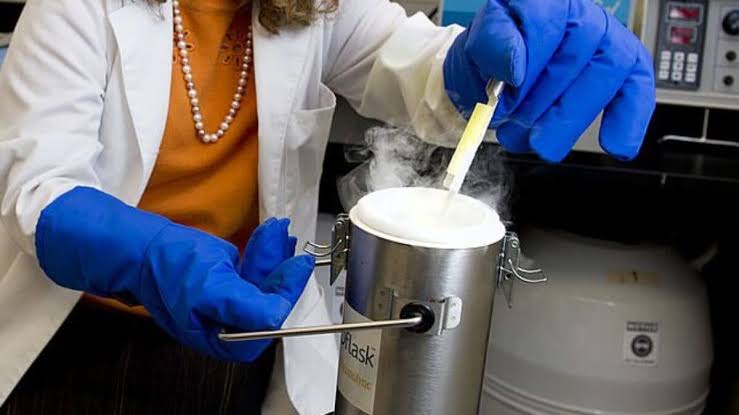 “Social freezing”, in Toscana approvata la legge regionale per preservare la fertilità