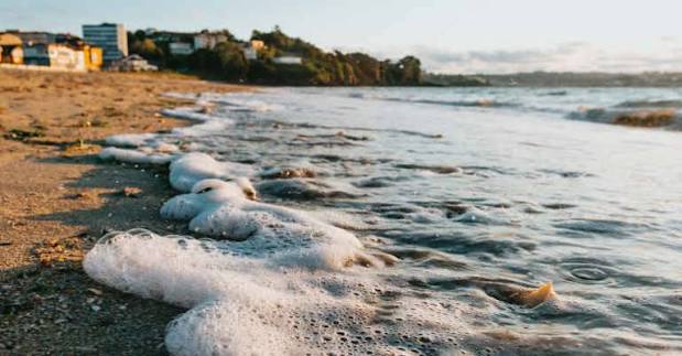 Legambiente, la Toscana guadagna due posizioni nella classifica dei reati ambientali legati al mare