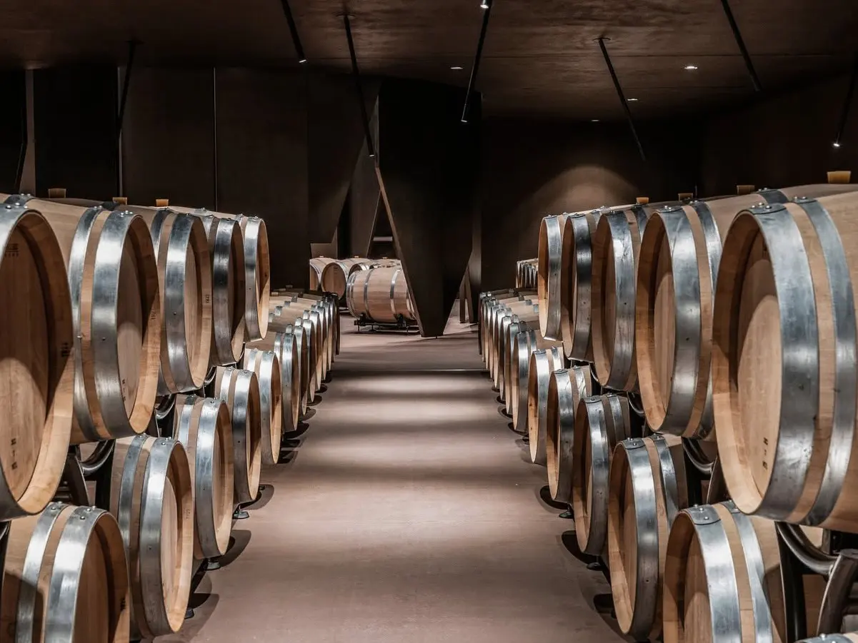 Vino, furto da 5 milioni alle cantine Antinori di Cortona in provincia di Arezzo, caccia ai ladri